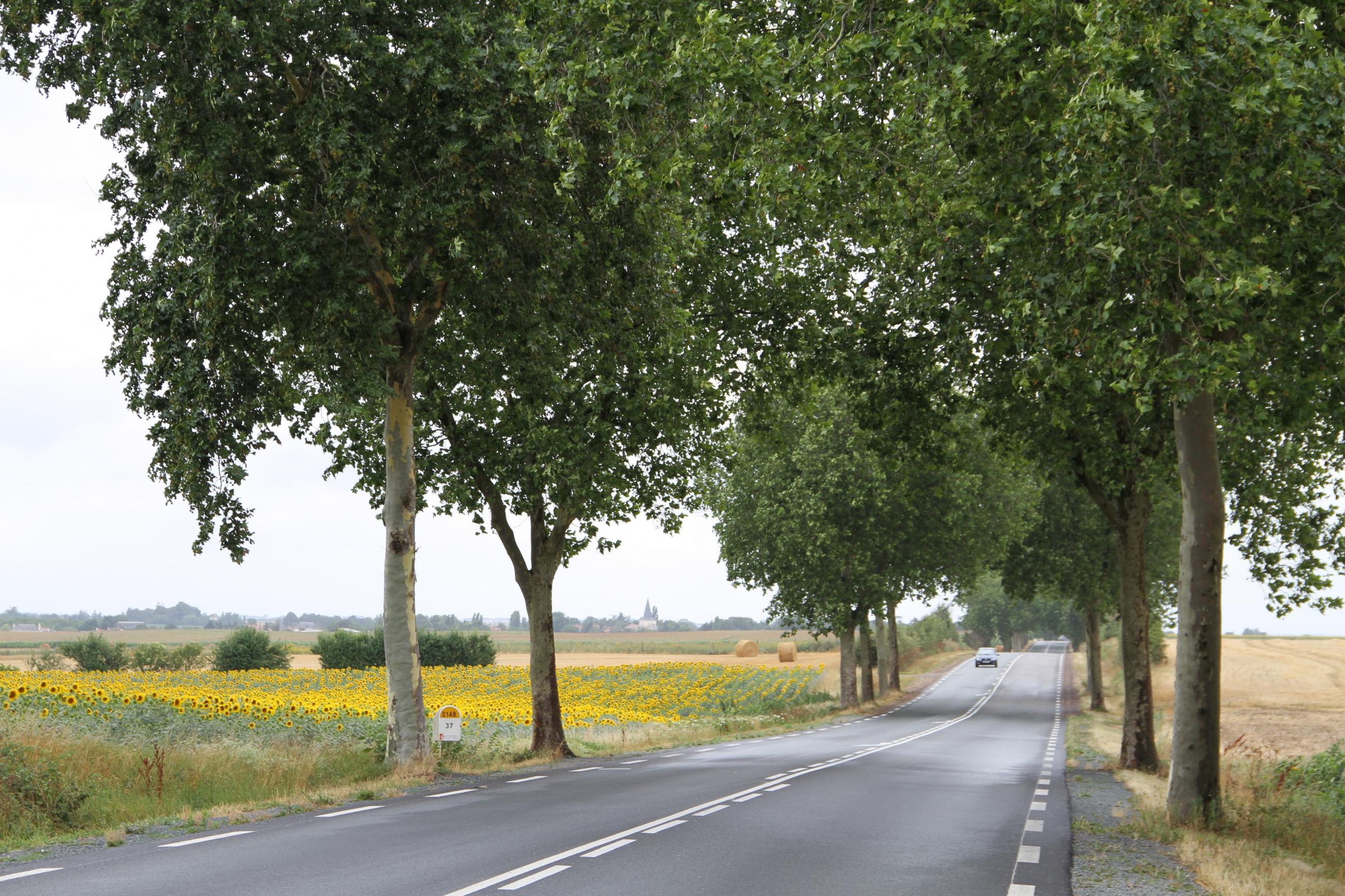 Bitumen voor de wegenbouw copro